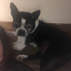 Meet your Posher, Tara